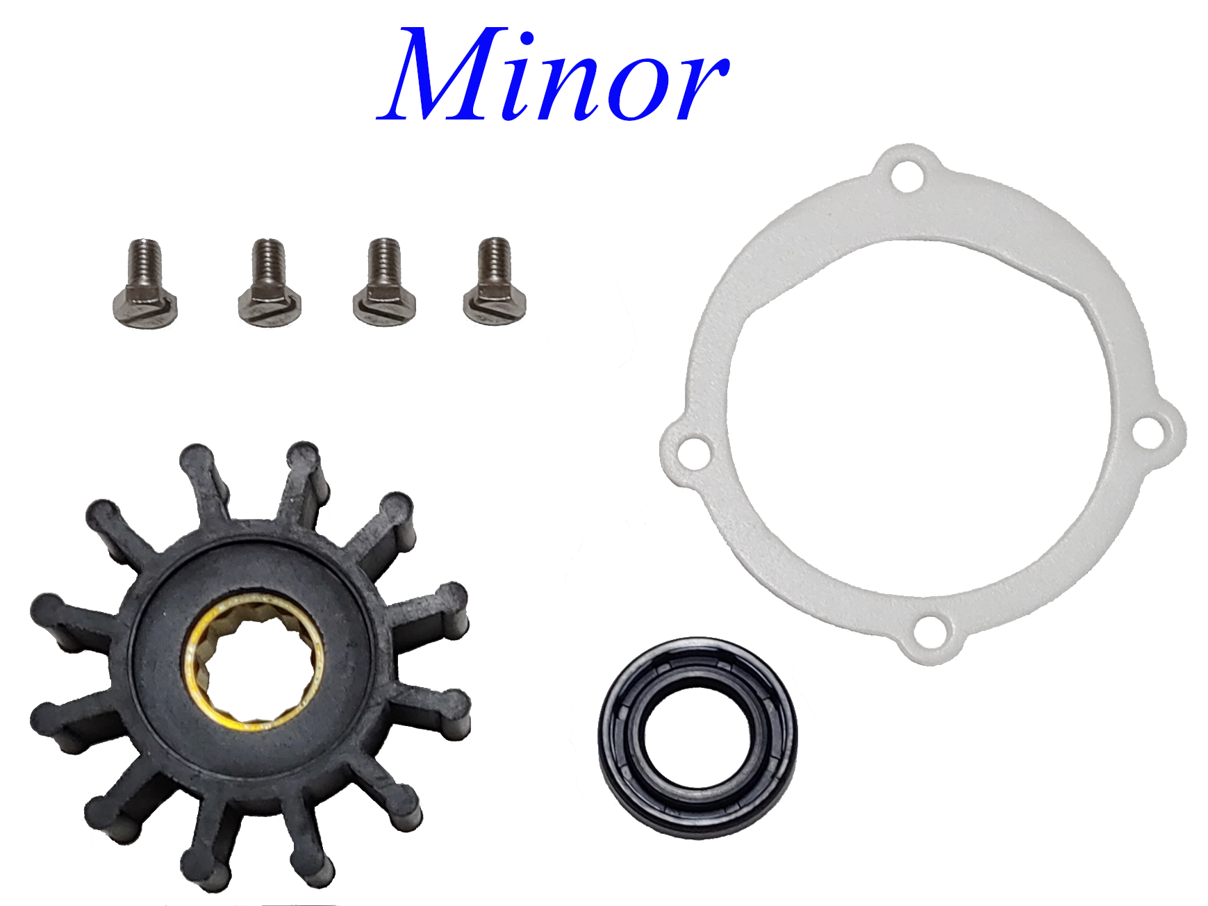 Impeller Repair Service Kit Replaces Johnson 09-45808 F5B-9 Pump 10-24228-1